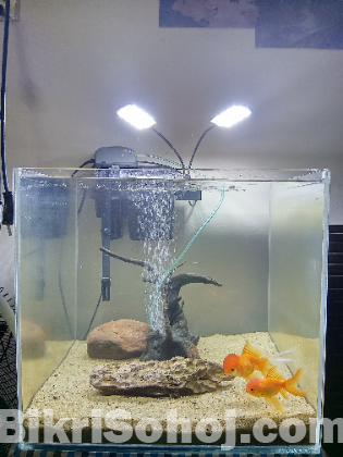 Crystal clear Aquarium full setup